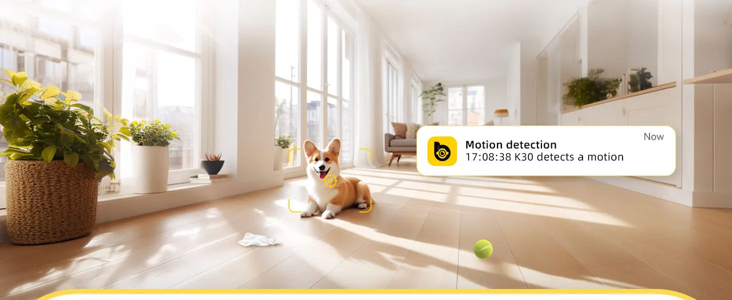 Caméra PupStyle PetWatch