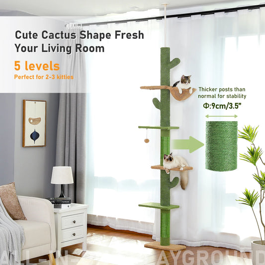 arbre cactus 5 etage