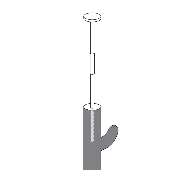 arbre cactus 5 etage