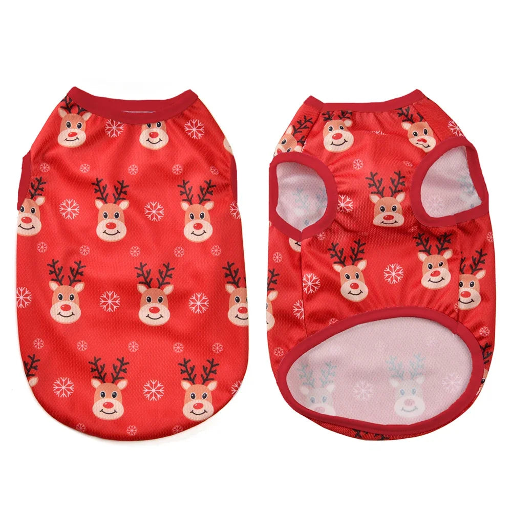 🐶🐱 Pull de Noël pour chiens et chats – Pupstyle 💕