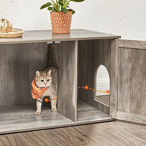 maison-litière élégante et pratique 🏠🐱