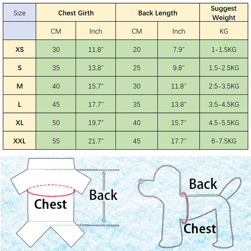 🐾 Manteau Pupstyle pour Chien 🐾