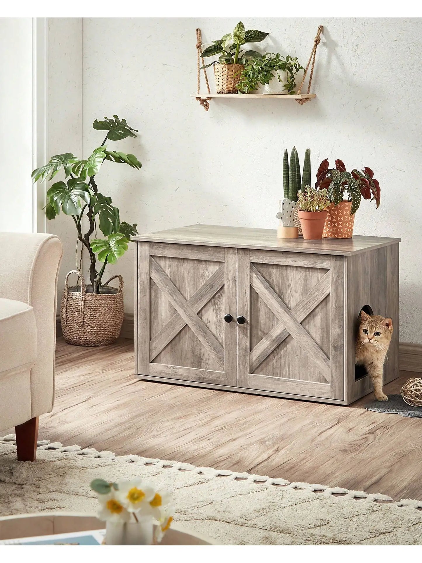 maison-litière élégante et pratique 🏠🐱