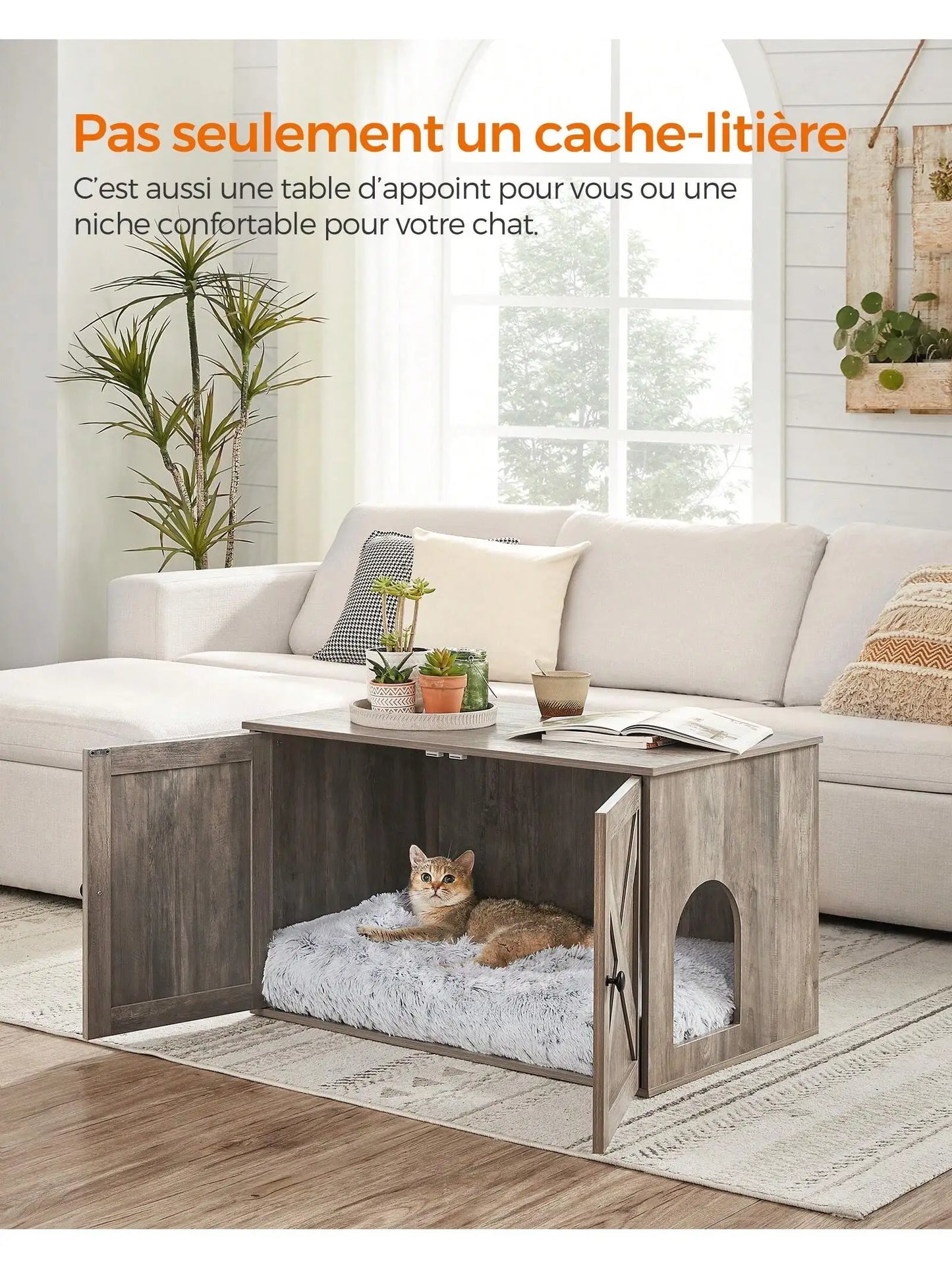 maison-litière élégante et pratique 🏠🐱