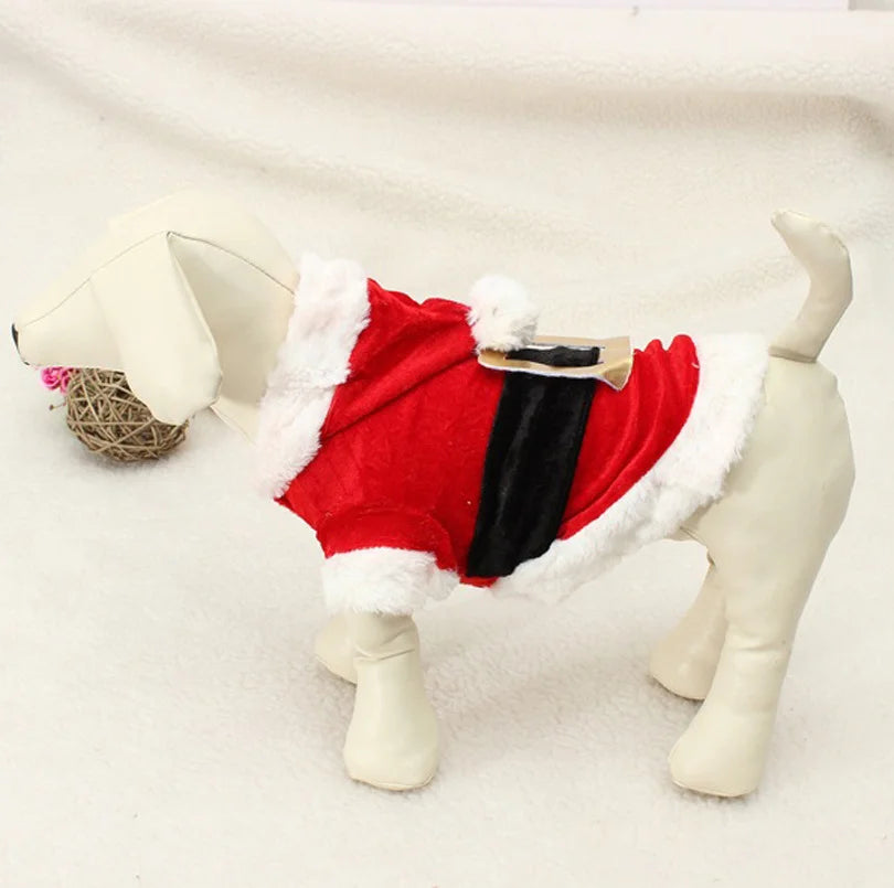 🎅🐾 Costume de Père Noël Pupstyle pour Chien 🐾🎅