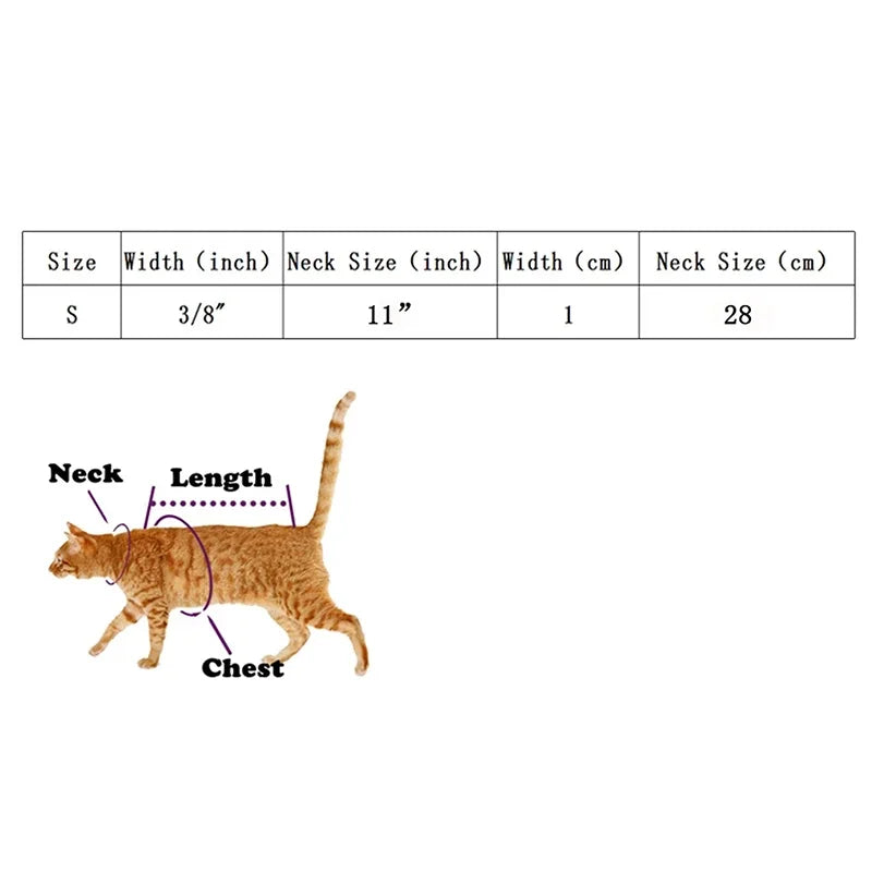 🌸 Collier pour Chat Pupstyle 🌸