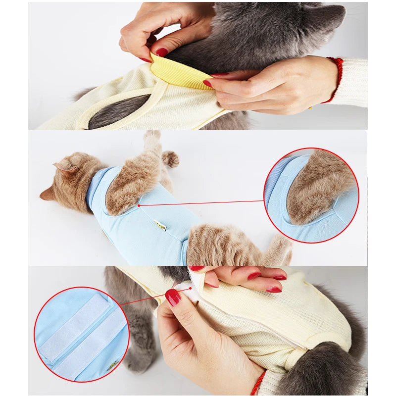 🐾💖 Gilet Anti-Léchage Pupstyle pour Chat 💖🐾