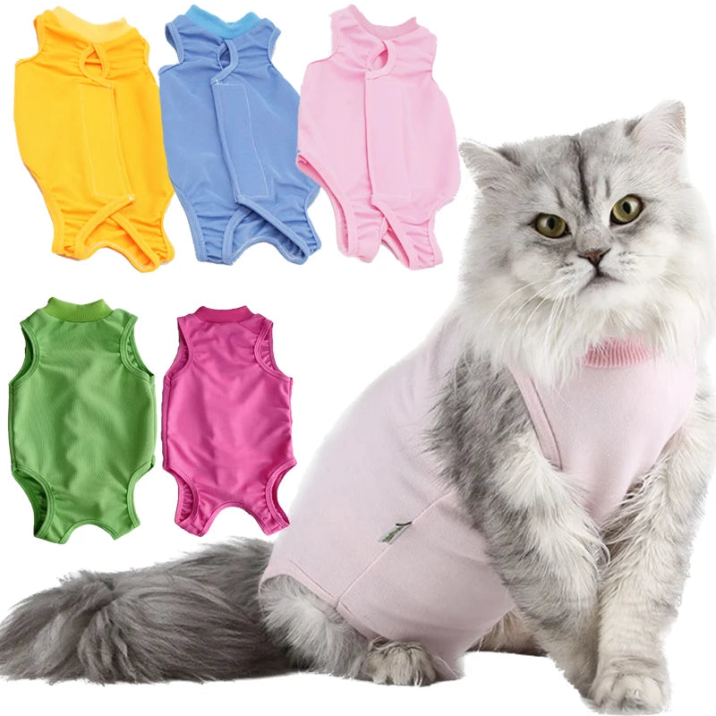 🐾💖 Gilet Anti-Léchage Pupstyle pour Chat 💖🐾