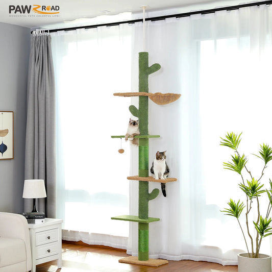 arbre cactus 5 etage