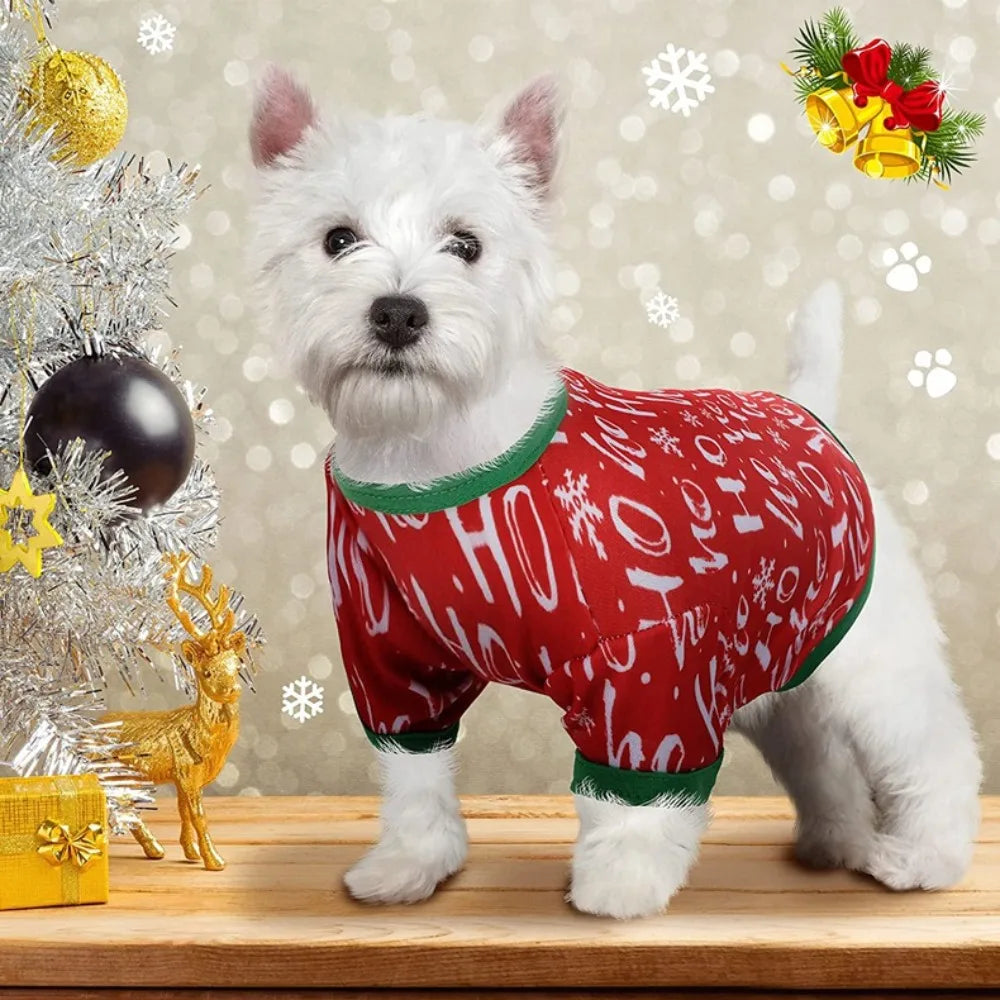 🐶🐱 Pull de Noël pour chiens et chats – Pupstyle 💕