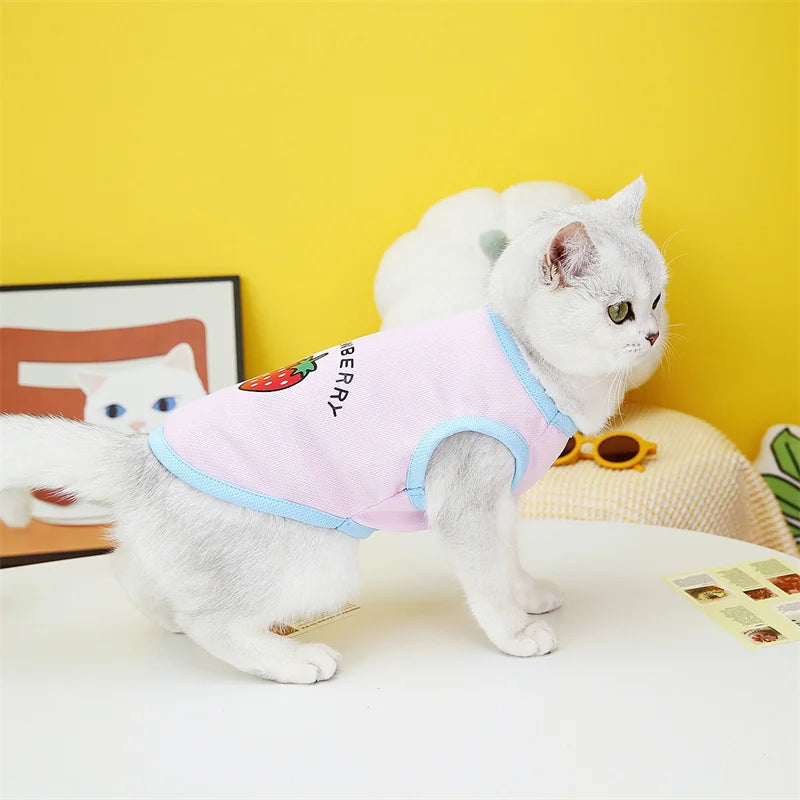 🧶🐱 Pull Pupstyle pour Chat 🐱🧶