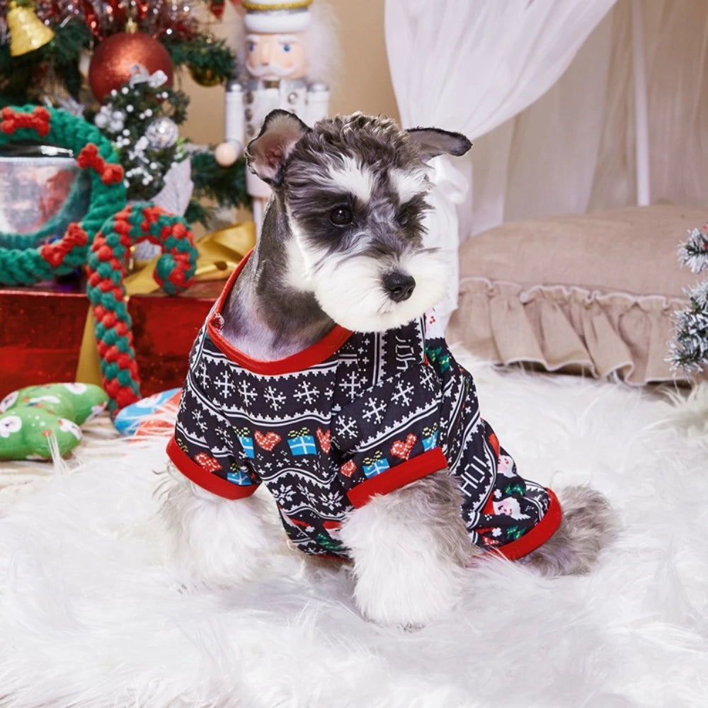 🐶🐱 Pull de Noël pour chiens et chats – Pupstyle 💕