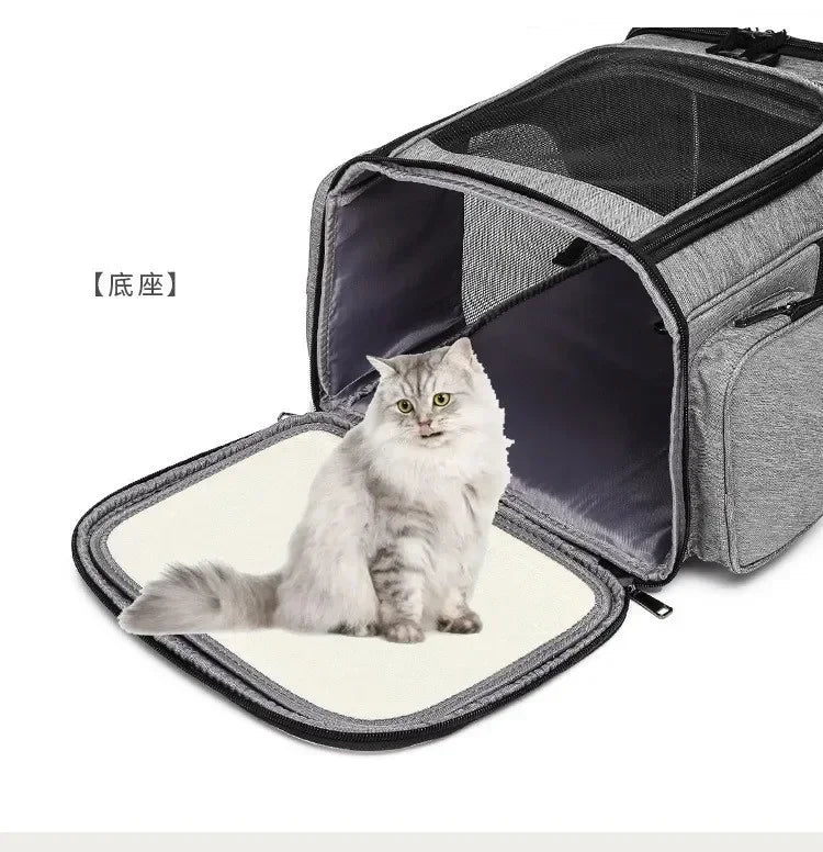 Panier de Transport PupStyle – Balades confortables et sans stress pour votre chat