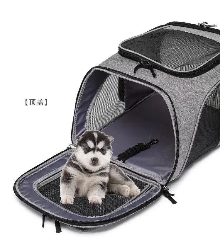 Panier de Transport PupStyle – Balades confortables et sans stress pour votre chat