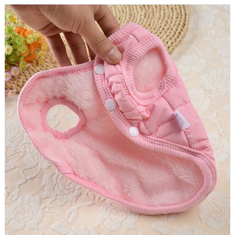 🐾💛 Gilet Pupstyle pour Chien 💛🐾