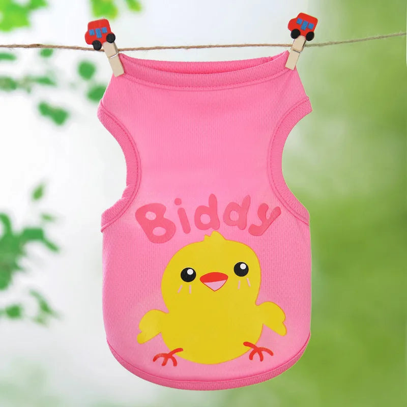 🧶🐱 Pull Pupstyle pour Chat 🐱🧶