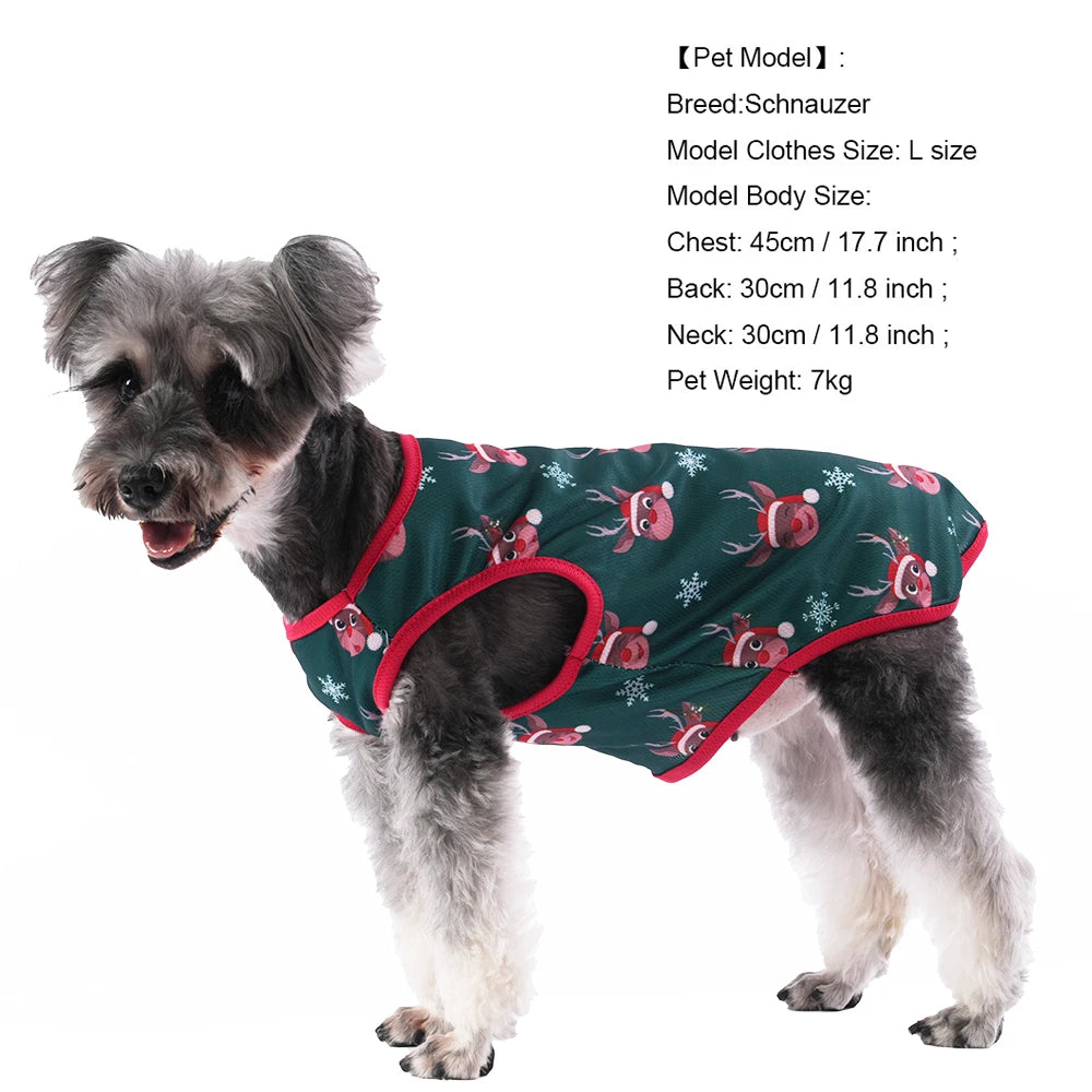 🐶🐱 Pull de Noël pour chiens et chats – Pupstyle 💕