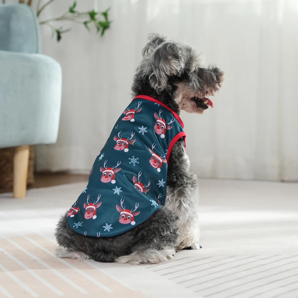🐶🐱 Pull de Noël pour chiens et chats – Pupstyle 💕