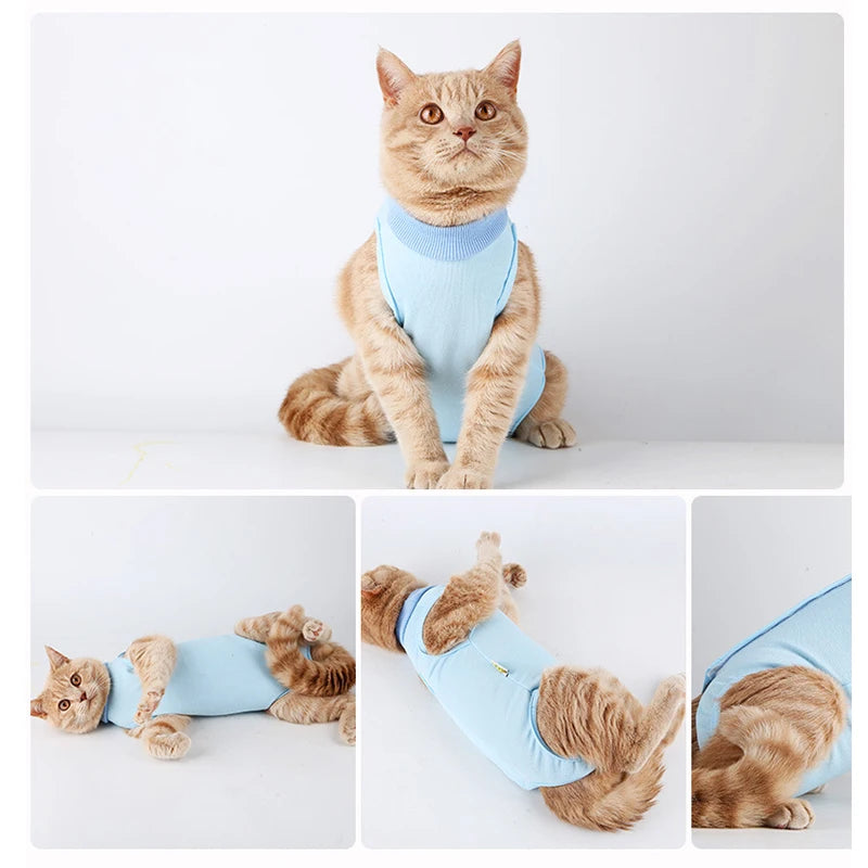 🐾💖 Gilet Anti-Léchage Pupstyle pour Chat 💖🐾