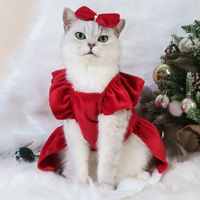 🎅💖 Robe de Noël Pupstyle pour Chat 💖🎅
