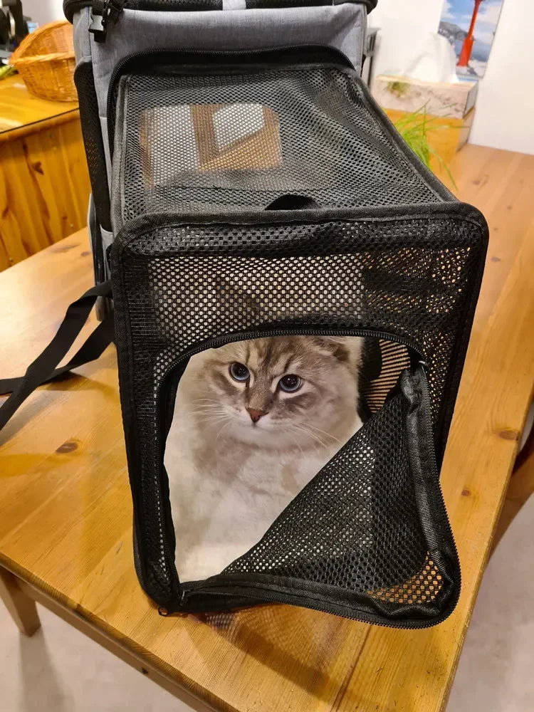 Panier de Transport PupStyle – Balades confortables et sans stress pour votre chat