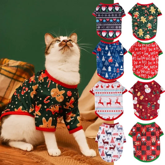 🐶🐱 Pull de Noël pour chiens et chats – Pupstyle 💕