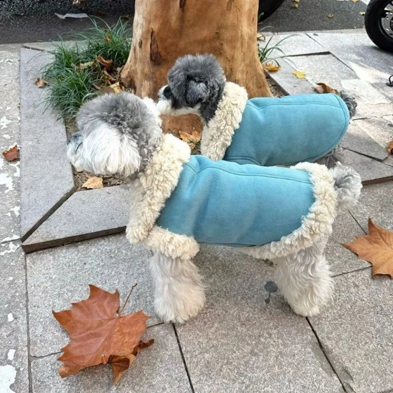 ❄️🐾 Manteau Moumoute Pupstyle pour Chien 🐾❄️