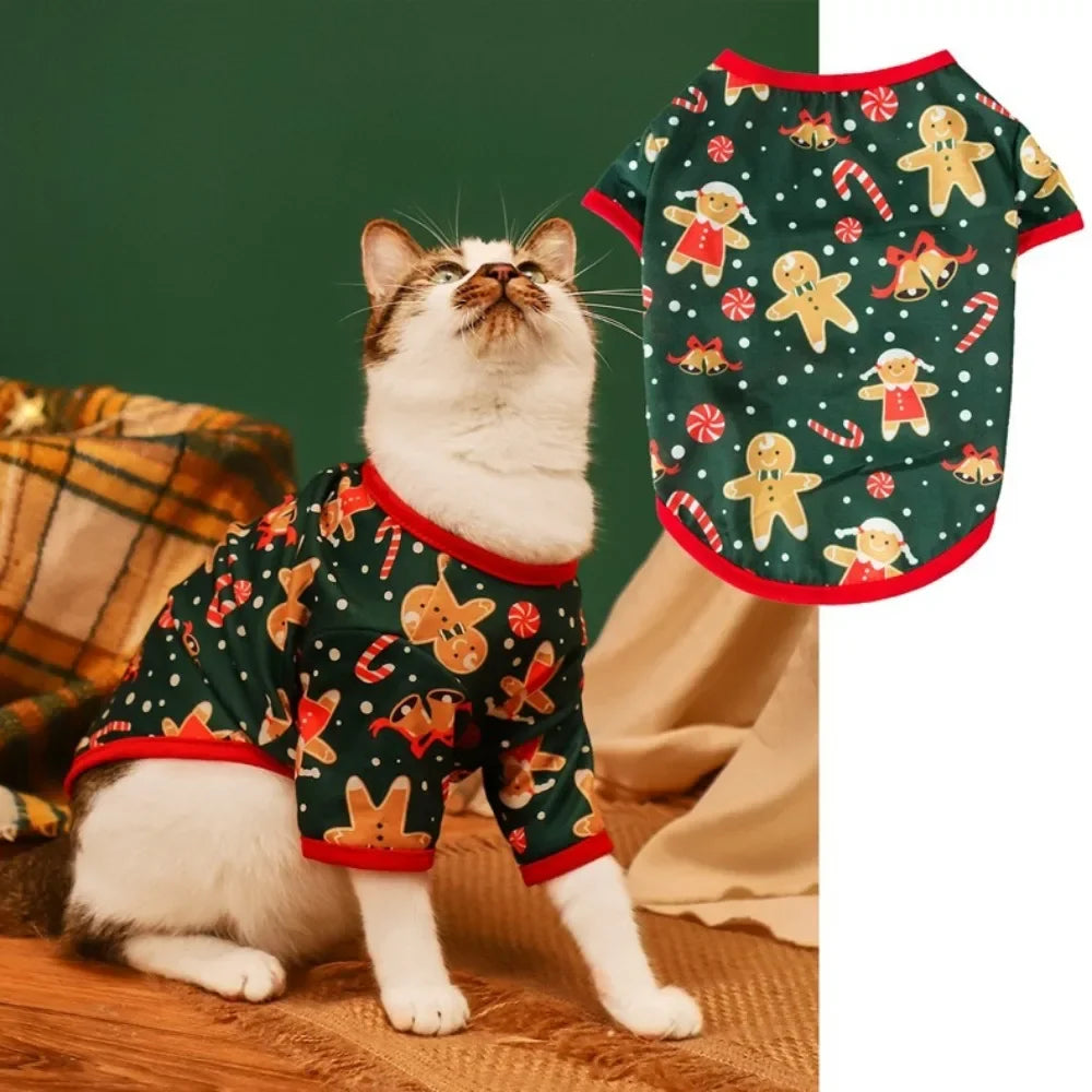 🐶🐱 Pull de Noël pour chiens et chats – Pupstyle 💕