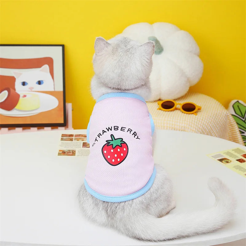 🧶🐱 Pull Pupstyle pour Chat 🐱🧶
