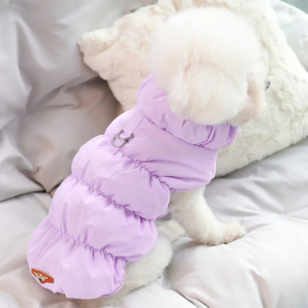 🧥🐾 Doudoune Pupstyle pour Chat 🐾🧥