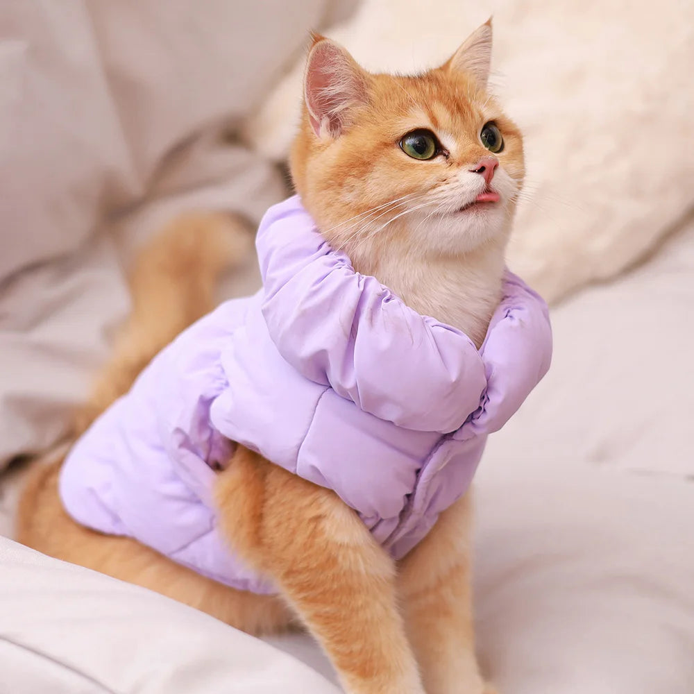 🧥🐾 Doudoune Pupstyle pour Chat 🐾🧥