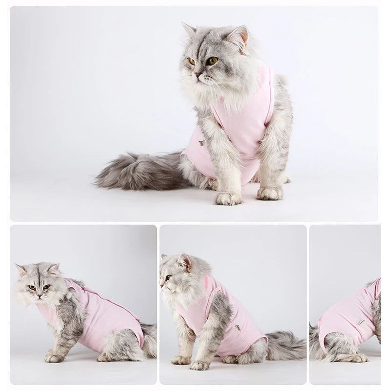 🐾💖 Gilet Anti-Léchage Pupstyle pour Chat 💖🐾