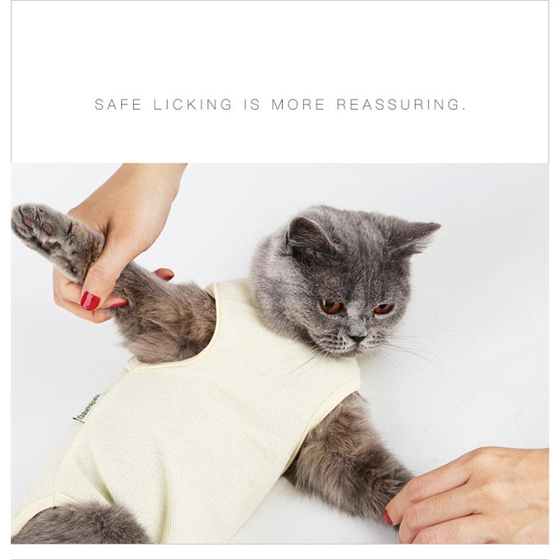 🐾💖 Gilet Anti-Léchage Pupstyle pour Chat 💖🐾