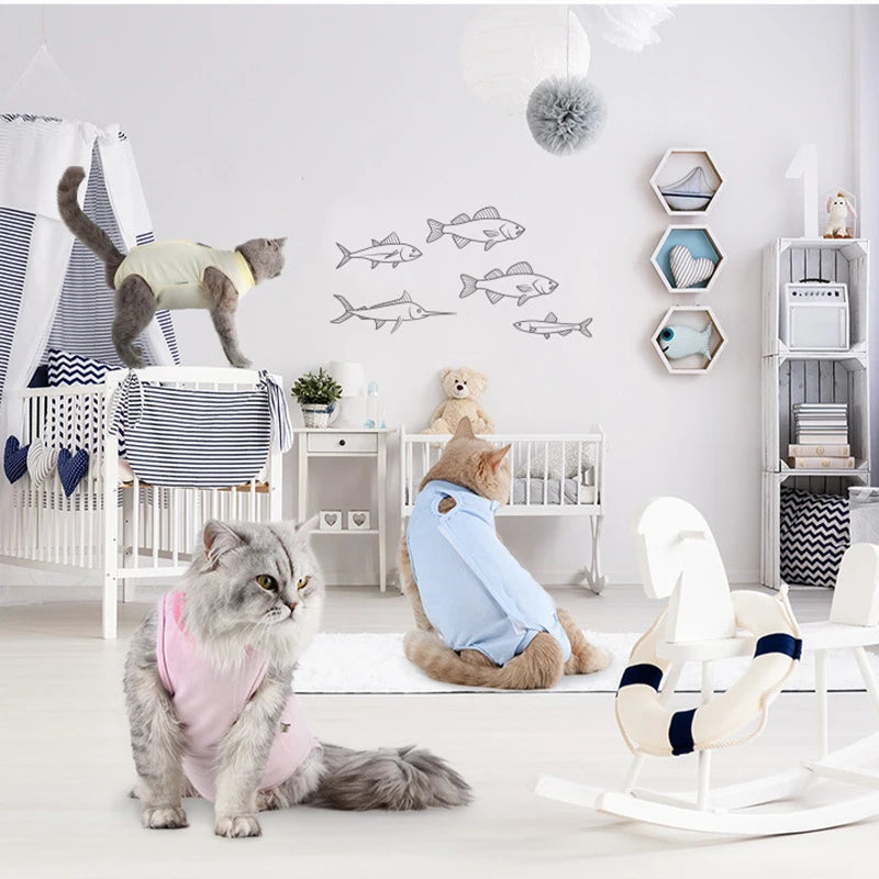 🐾💖 Gilet Anti-Léchage Pupstyle pour Chat 💖🐾