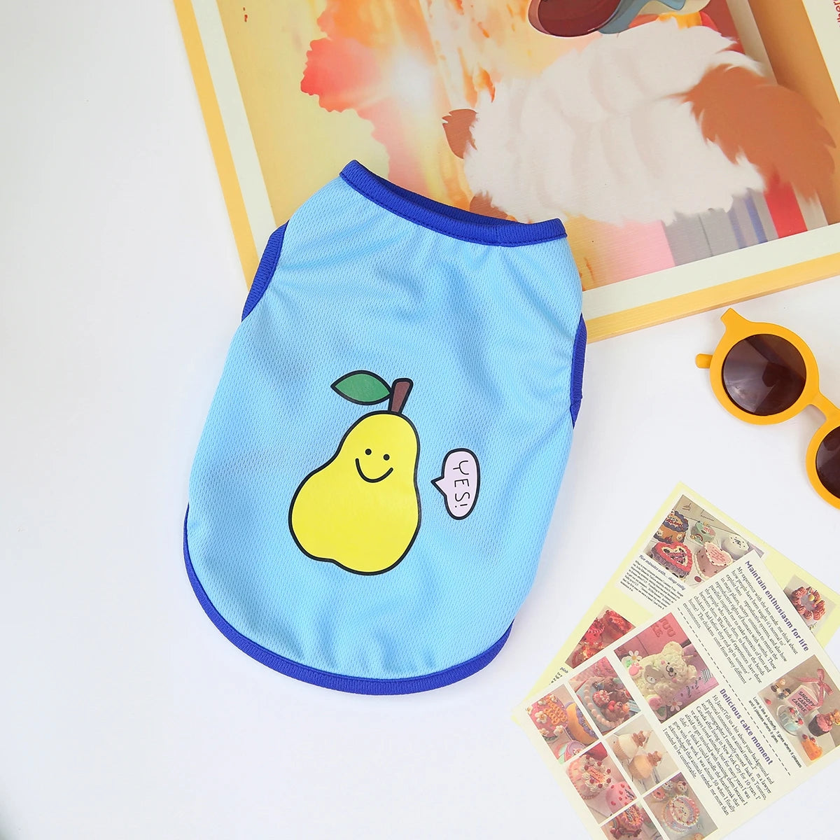 🧶🐱 Pull Pupstyle pour Chat 🐱🧶