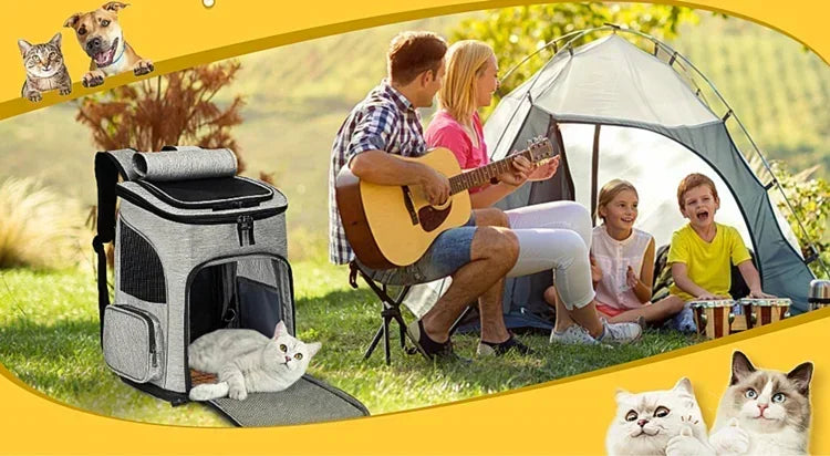 Panier de Transport PupStyle – Balades confortables et sans stress pour votre chat