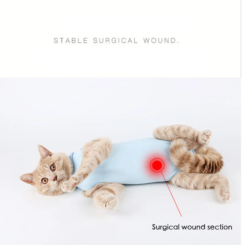 🐾💖 Gilet Anti-Léchage Pupstyle pour Chat 💖🐾