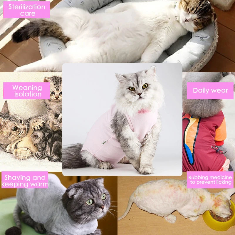 🐾💖 Gilet Anti-Léchage Pupstyle pour Chat 💖🐾