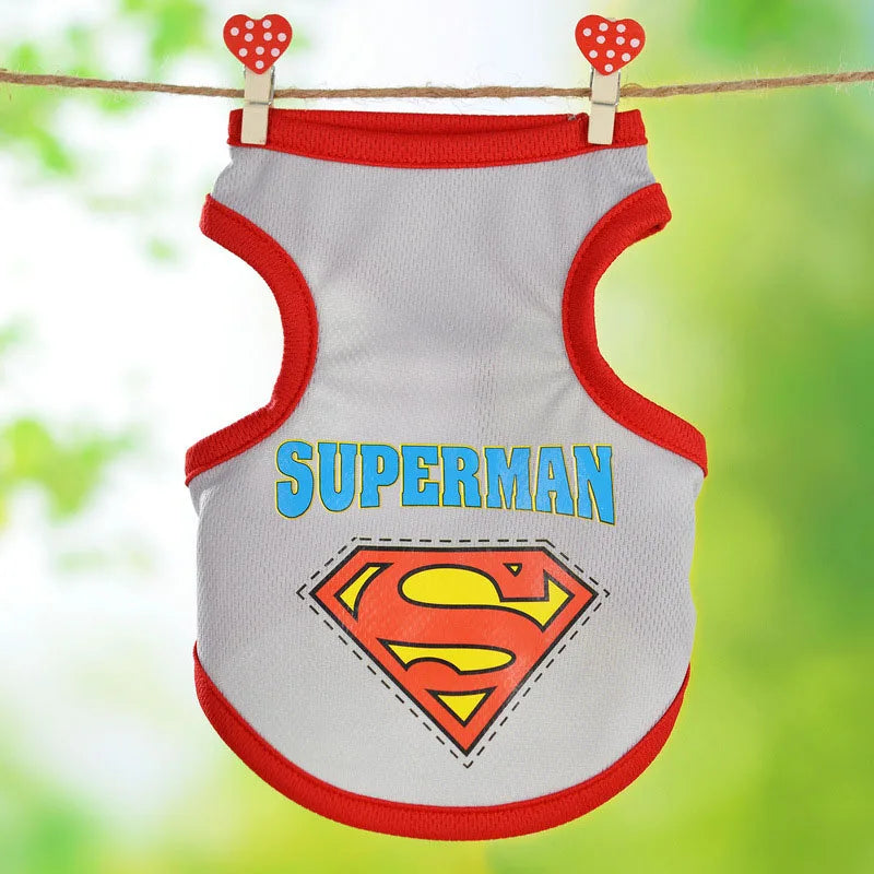 🧶🐱 Pull Pupstyle pour Chat 🐱🧶