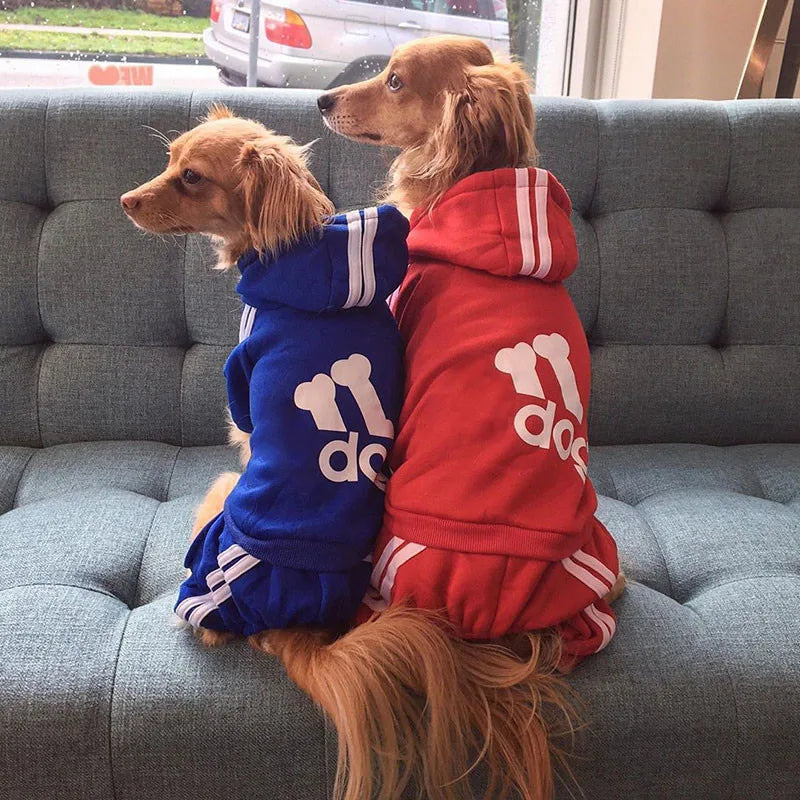 🐾 Manteau Pupstyle pour Chien 🐾