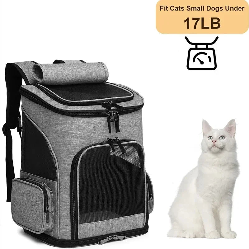 Panier de Transport PupStyle – Balades confortables et sans stress pour votre chat