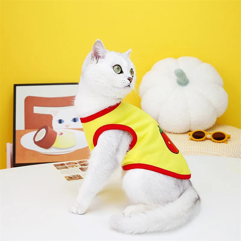 🧶🐱 Pull Pupstyle pour Chat 🐱🧶