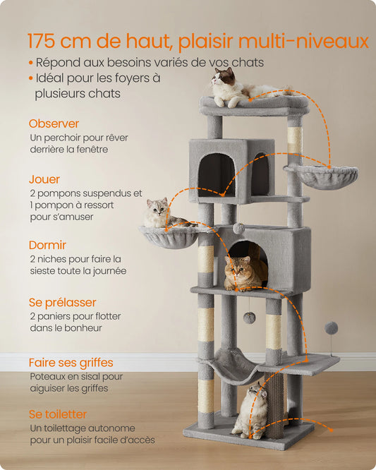 Arbre à Chat Gris Tourterelle  Hauteur 175 cm