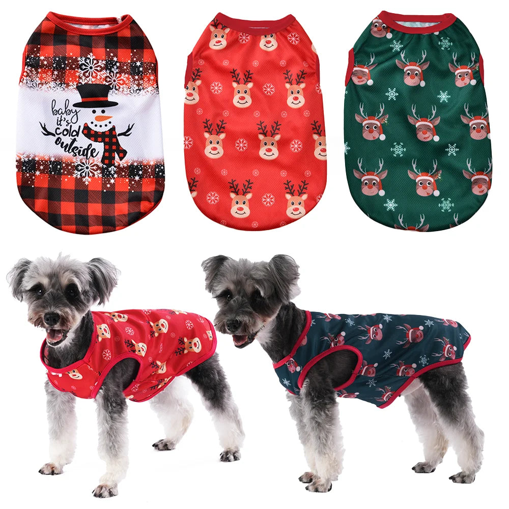🐶🐱 Pull de Noël pour chiens et chats – Pupstyle 💕