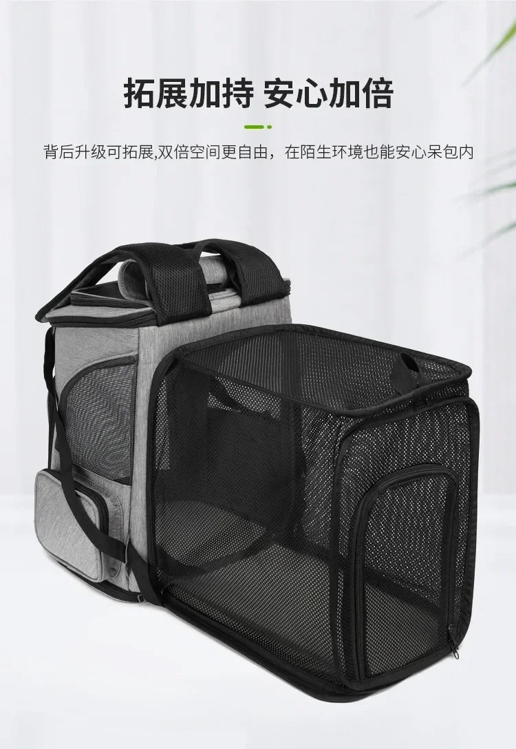Panier de Transport PupStyle – Balades confortables et sans stress pour votre chat