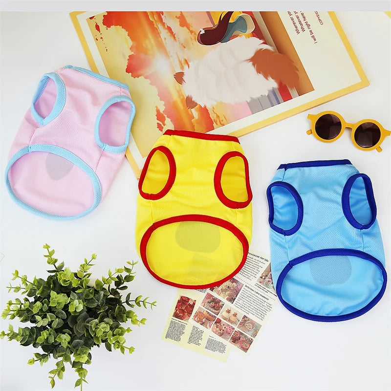 🧶🐱 Pull Pupstyle pour Chat 🐱🧶