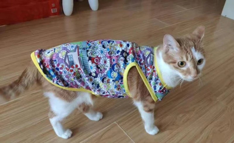 🧶🐱 Pull Pupstyle pour Chat 🐱🧶