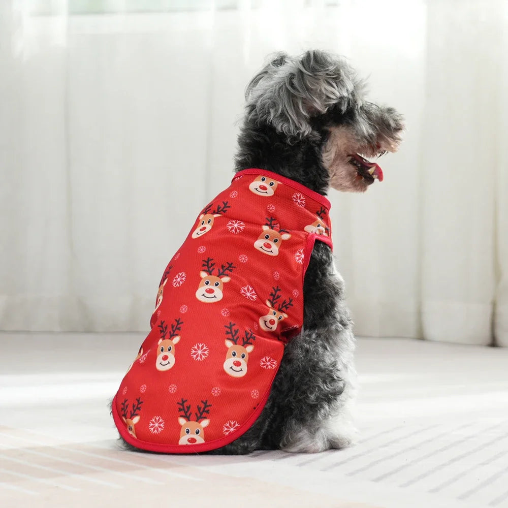 🐶🐱 Pull de Noël pour chiens et chats – Pupstyle 💕