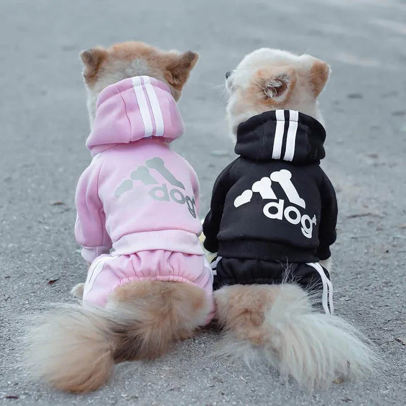 🐾 Manteau Pupstyle pour Chien 🐾